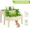 Costway 2 Tier Wooden Raised Garden Bed Elevated Planter Box w/Legs Drain Holes